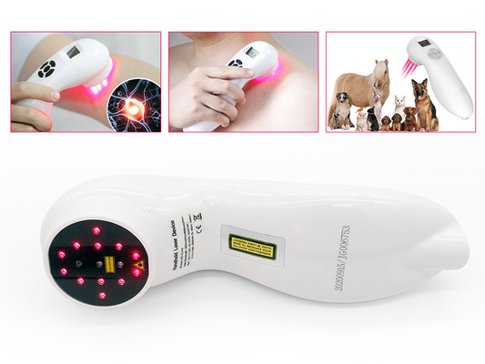 o ser humano do animal de estimação do dispositivo da terapia do laser de 808nm 650nm alivia dor Handheld