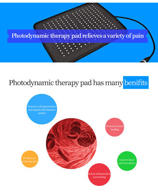 Almofada amarela azul vermelha da terapia da luz infra-vermelha PDT do alívio das dores cura sem fôlego